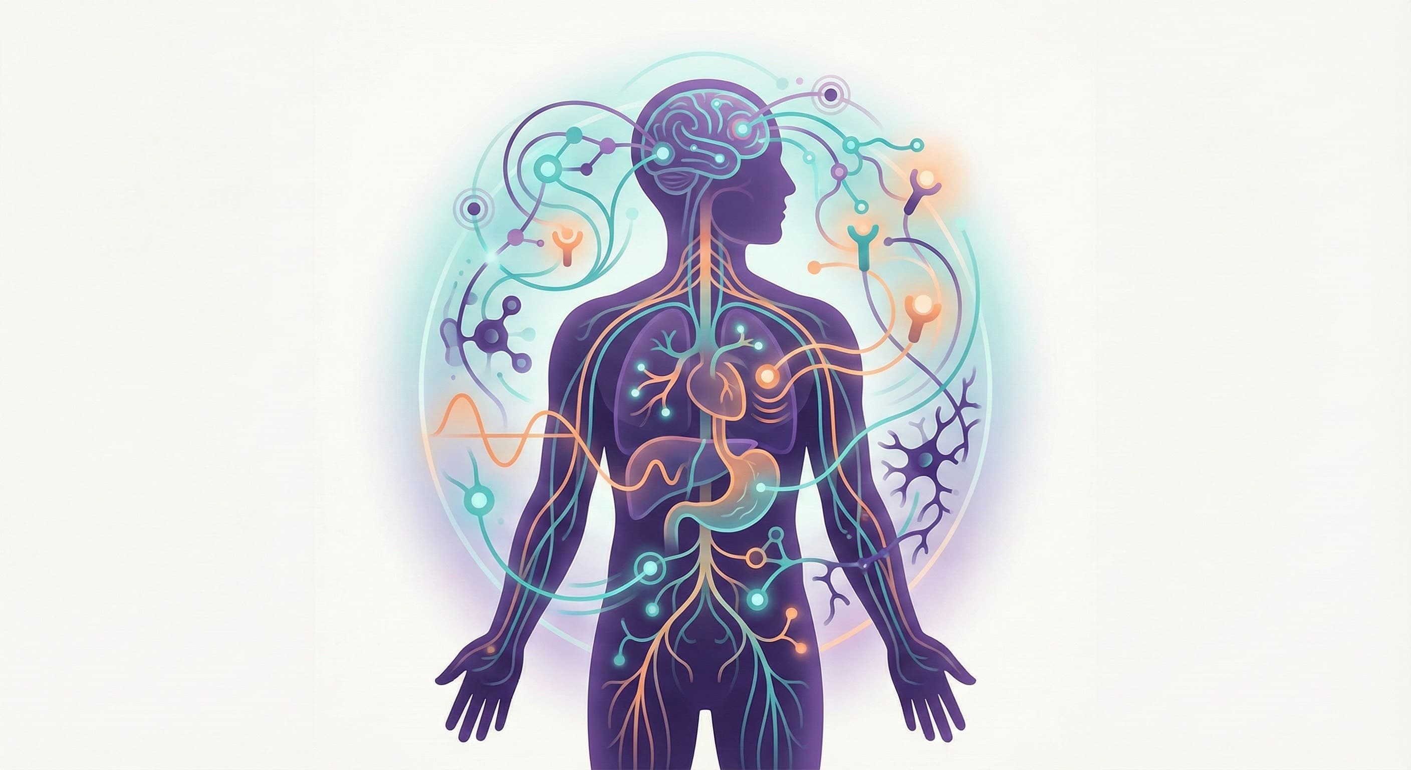 ECAP: The Neurocognitive Architecture of Endocannabinoid-Associated Pathways